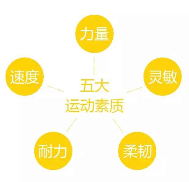 方寸闲置地化作活力空间江西“15分钟健身圈”覆盖率达9955%(图1)